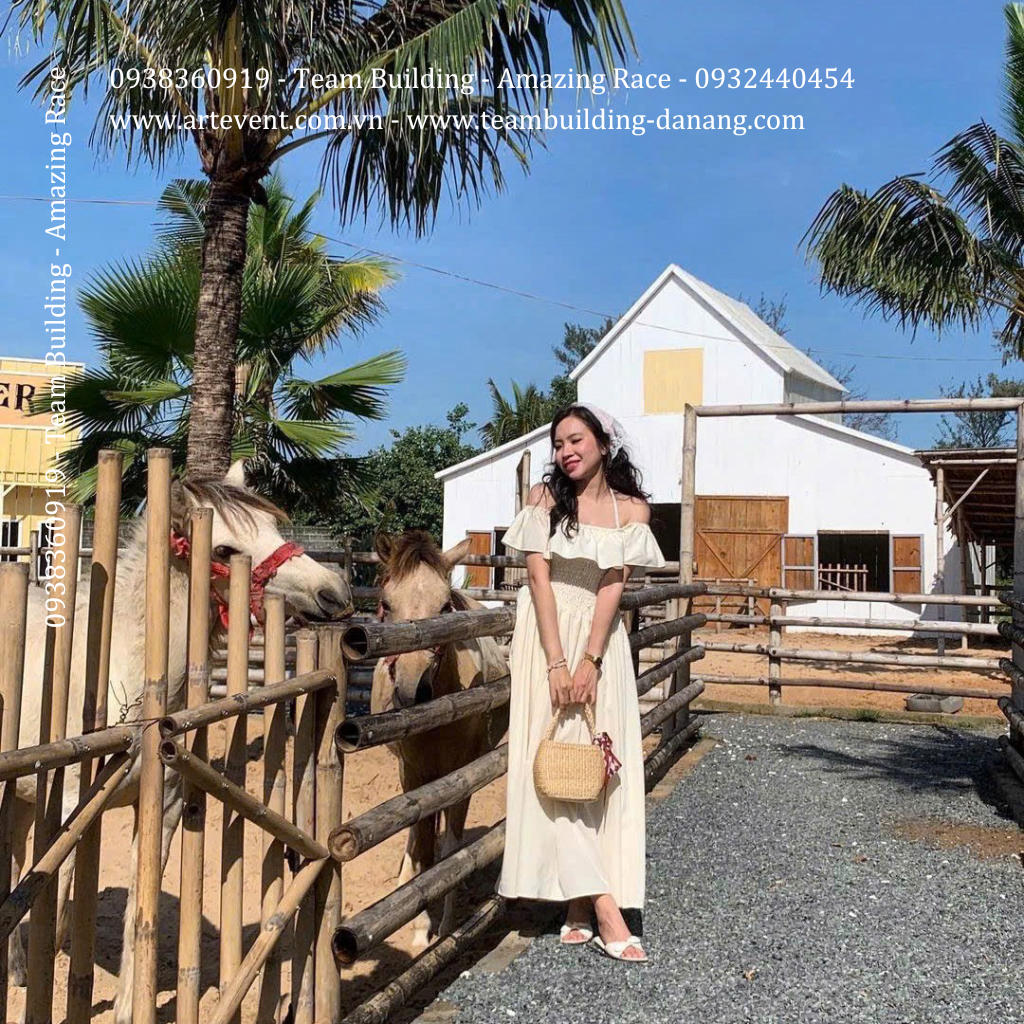 Tổ chức Team Building - Camping - Glamping Vũng Tàu
