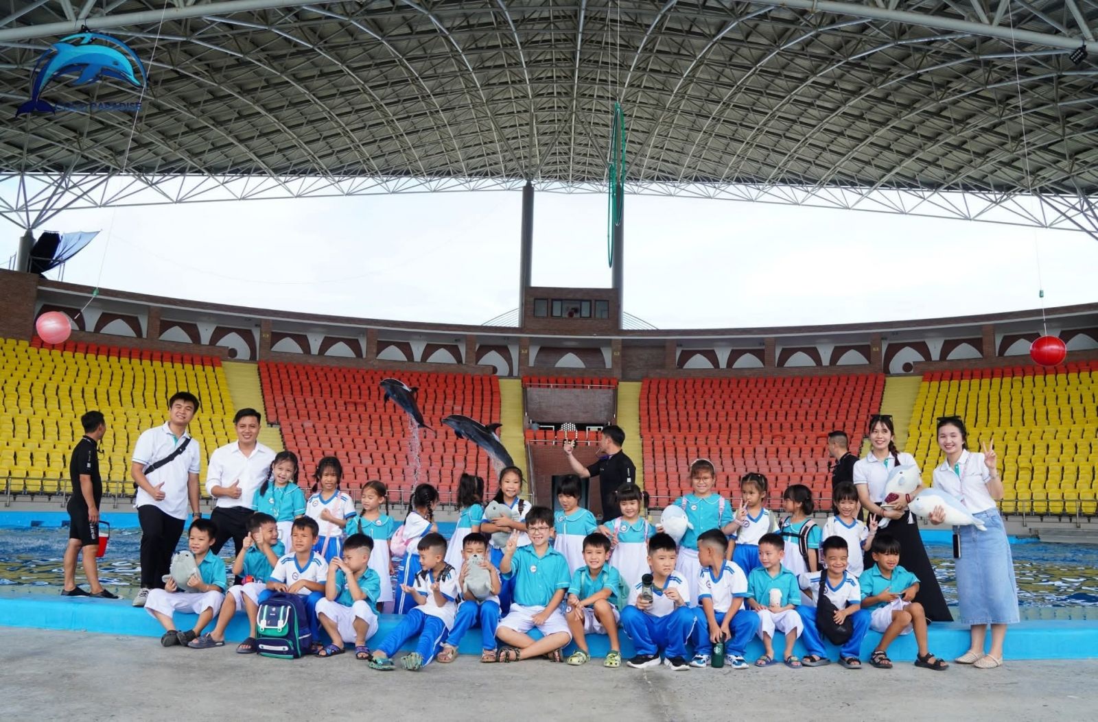 Da Nang Dolphinarium: Giá Vé 310K & Lịch Show Cá Heo