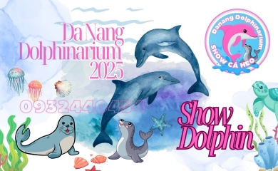 Da Nang Dolphinarium Show Cá Heo