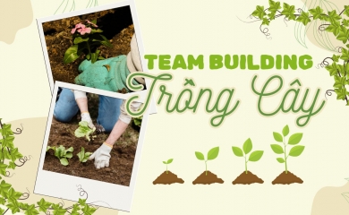 9 Địa Điểm Team Building Trồng Cây CSR Gần TP.HCM