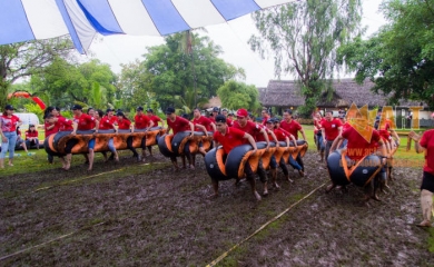 Team Building tại Khu du lịch Cao Minh